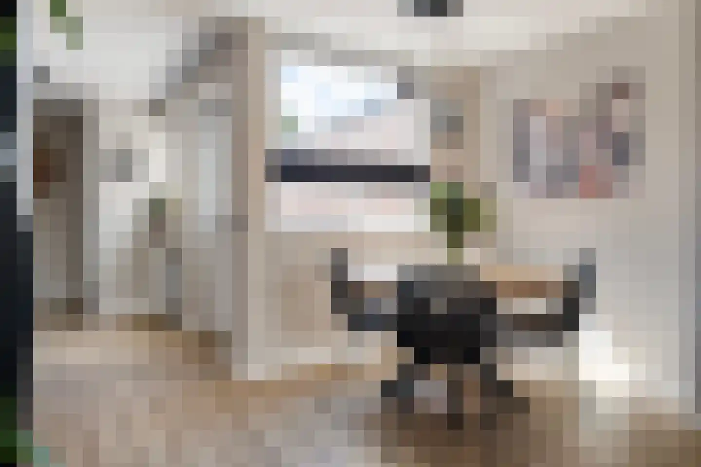 Houtduif 20 Emmen thumbnail 10