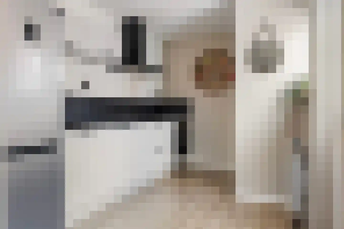 Houtduif 20 Emmen thumbnail 11