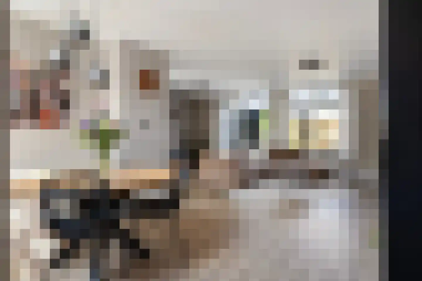 Houtduif 20 Emmen thumbnail 13