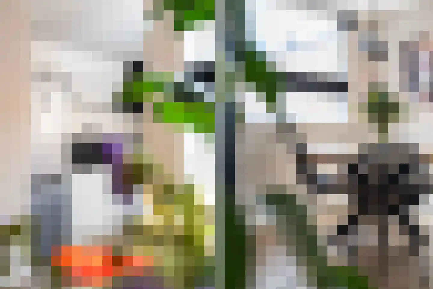 Houtduif 20 Emmen thumbnail 14