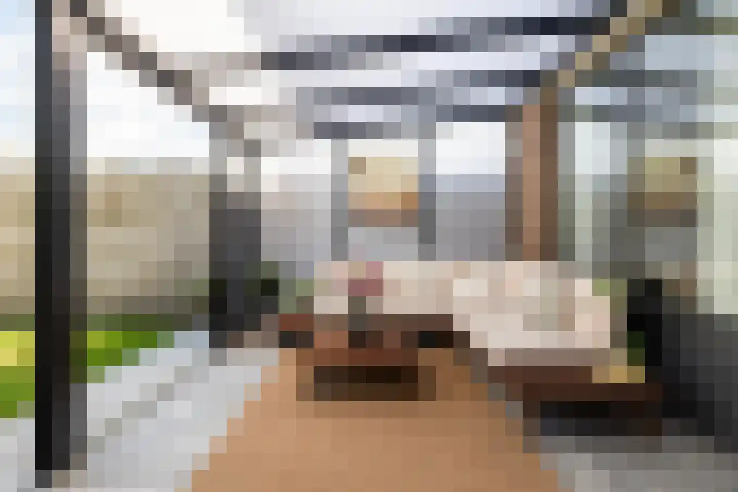 Houtduif 20 Emmen thumbnail 17