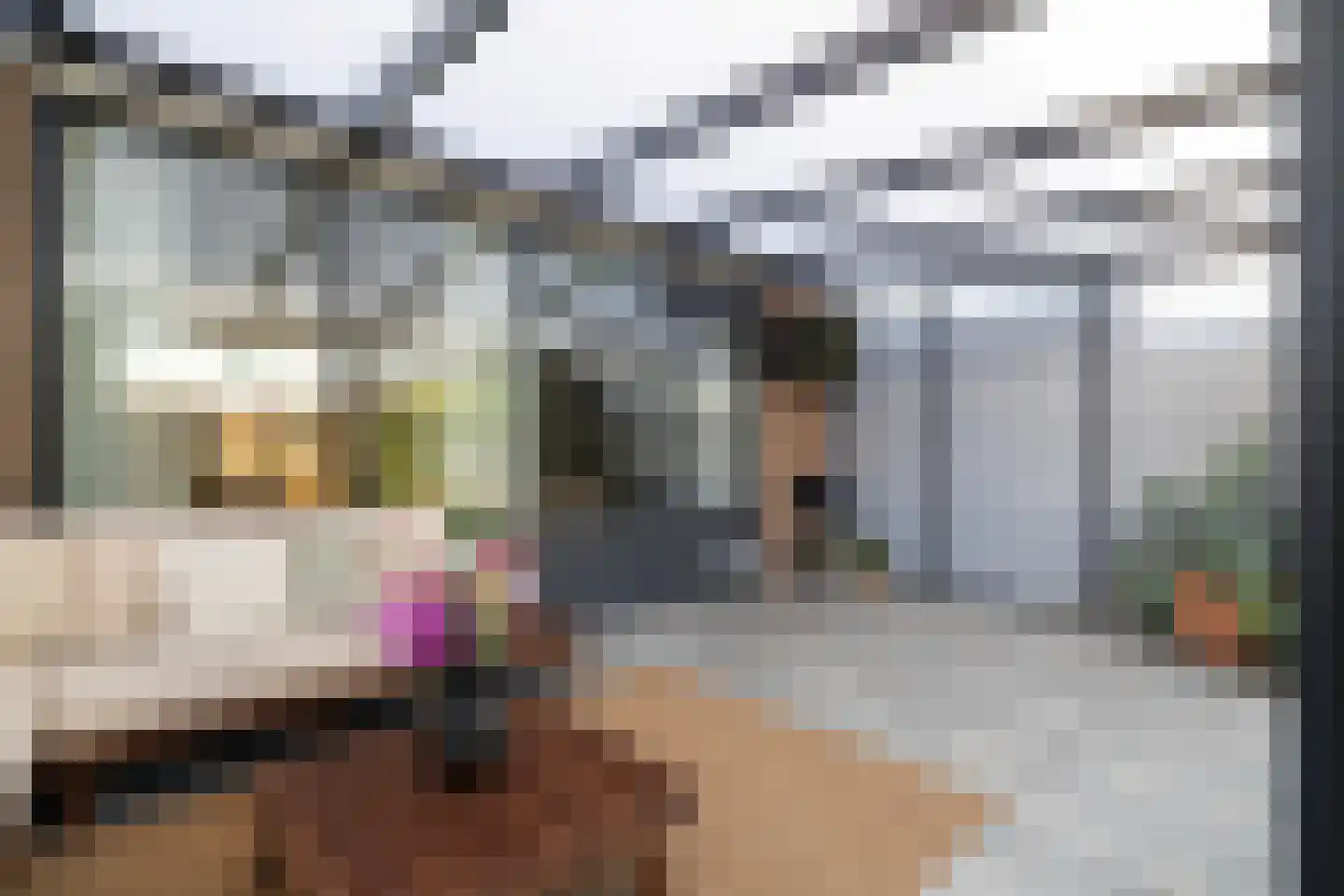 Houtduif 20 Emmen thumbnail 18