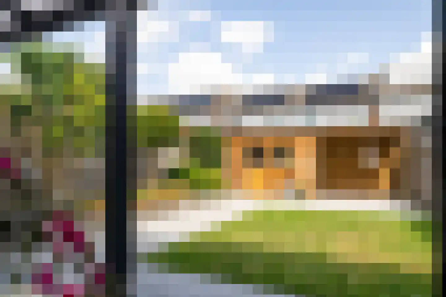 Houtduif 20 Emmen thumbnail 19