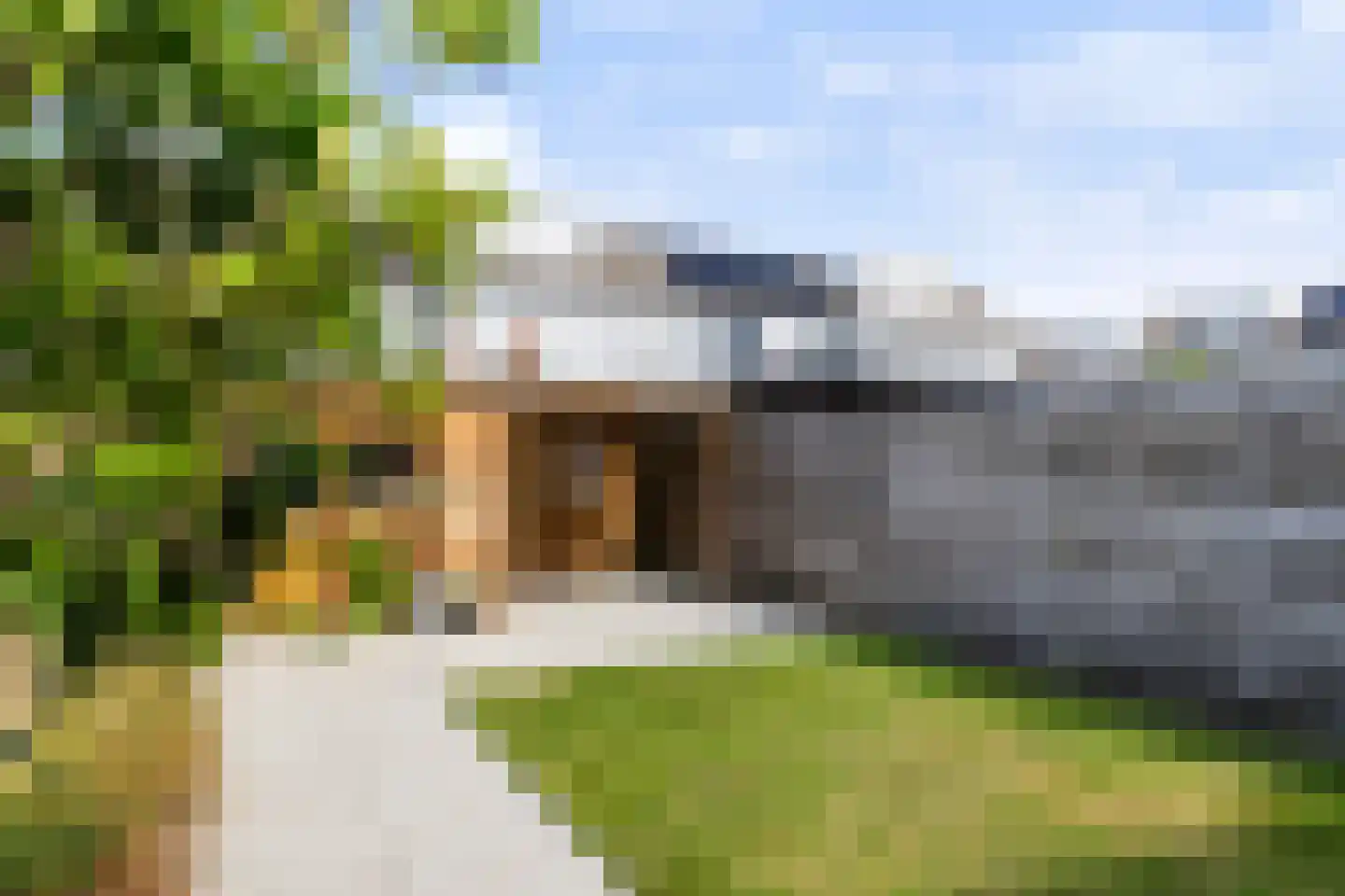 Houtduif 20 Emmen thumbnail 20