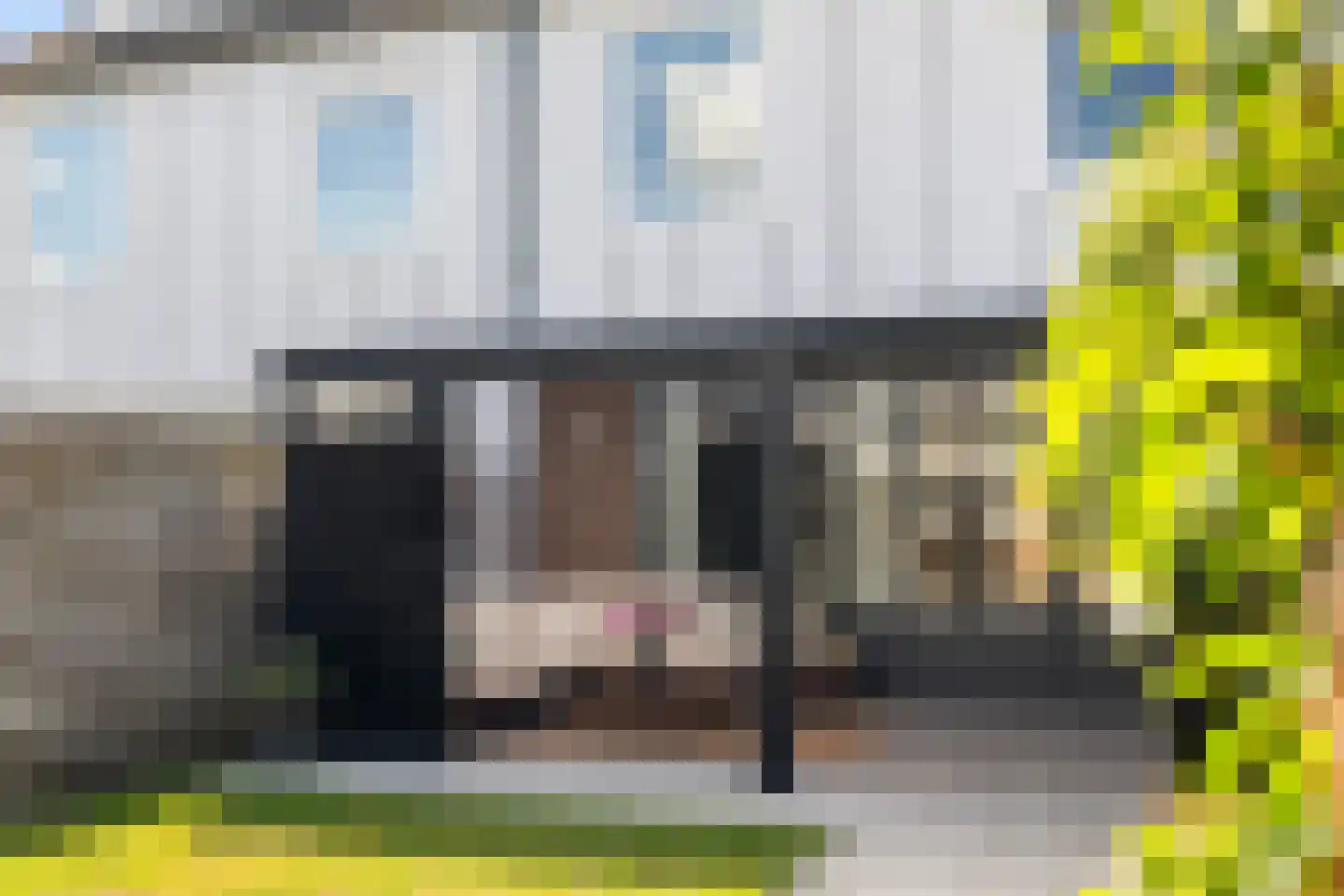 Houtduif 20 Emmen thumbnail 22