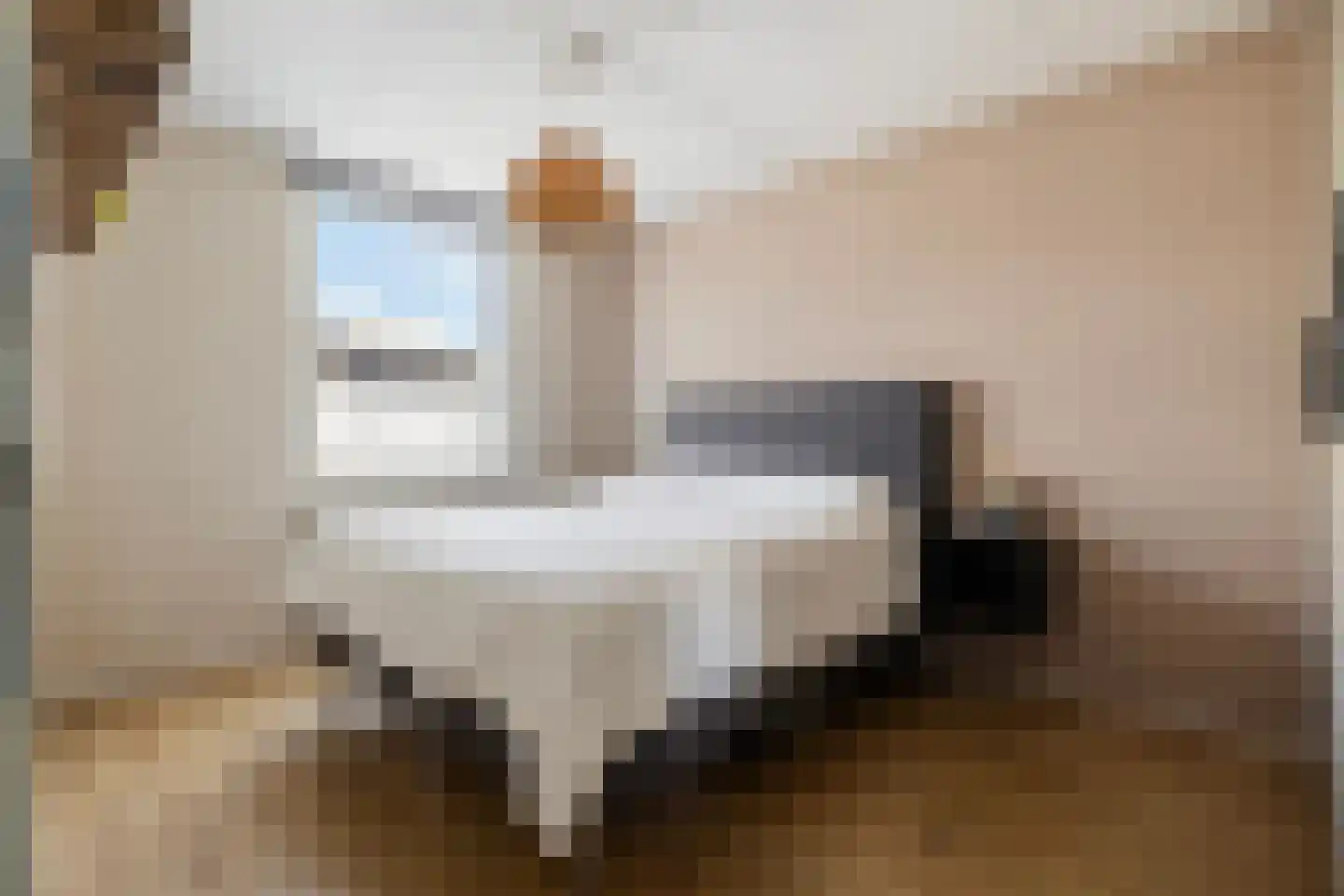 Houtduif 20 Emmen thumbnail 25