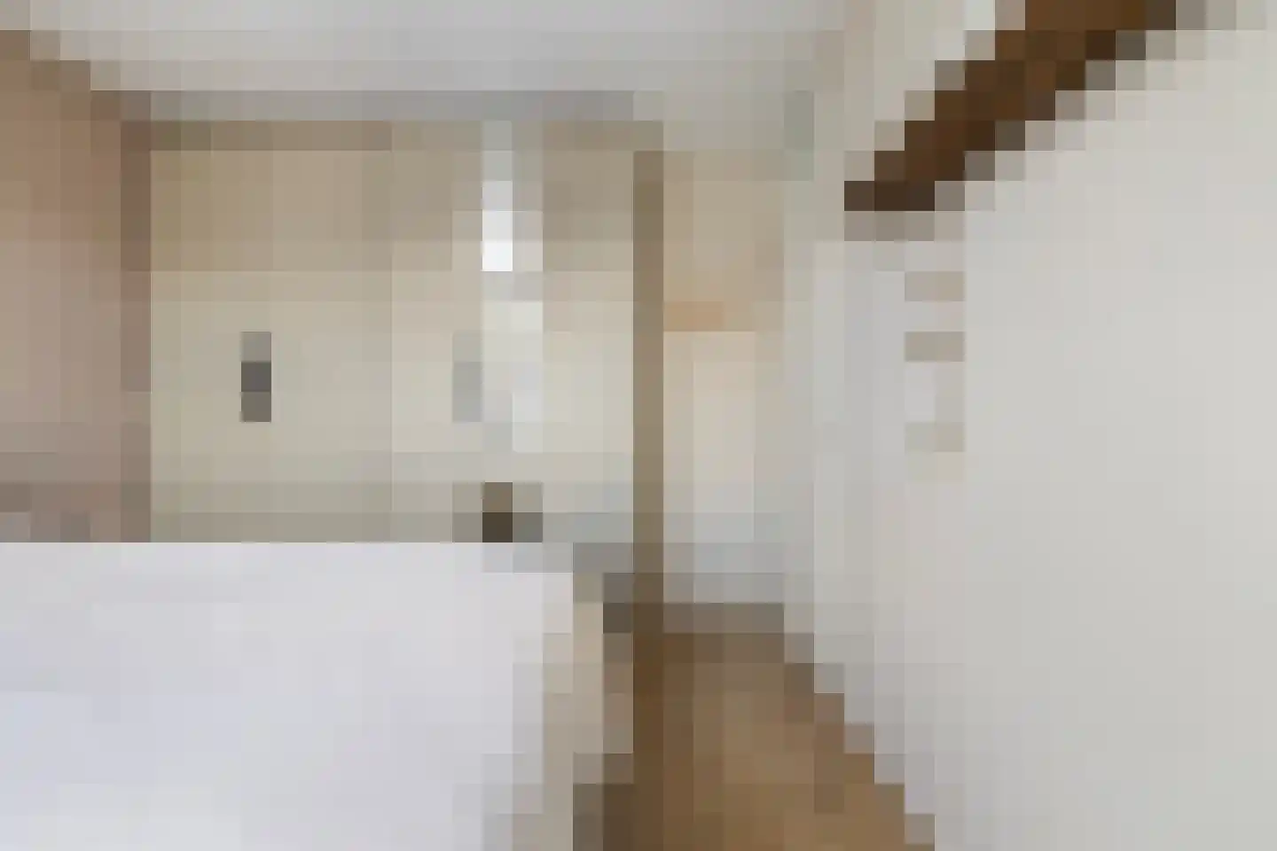 Houtduif 20 Emmen thumbnail 26