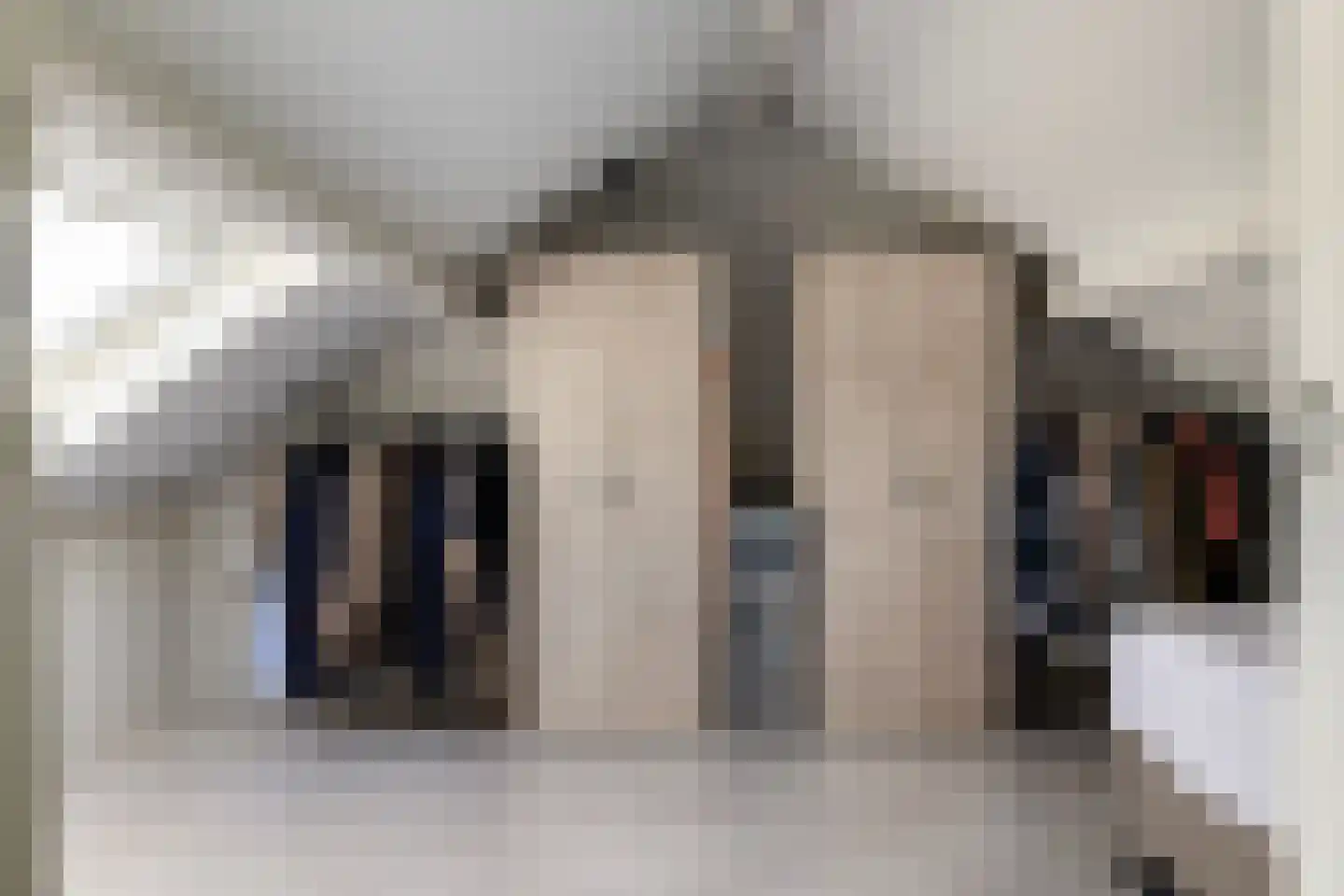 Houtduif 20 Emmen thumbnail 30