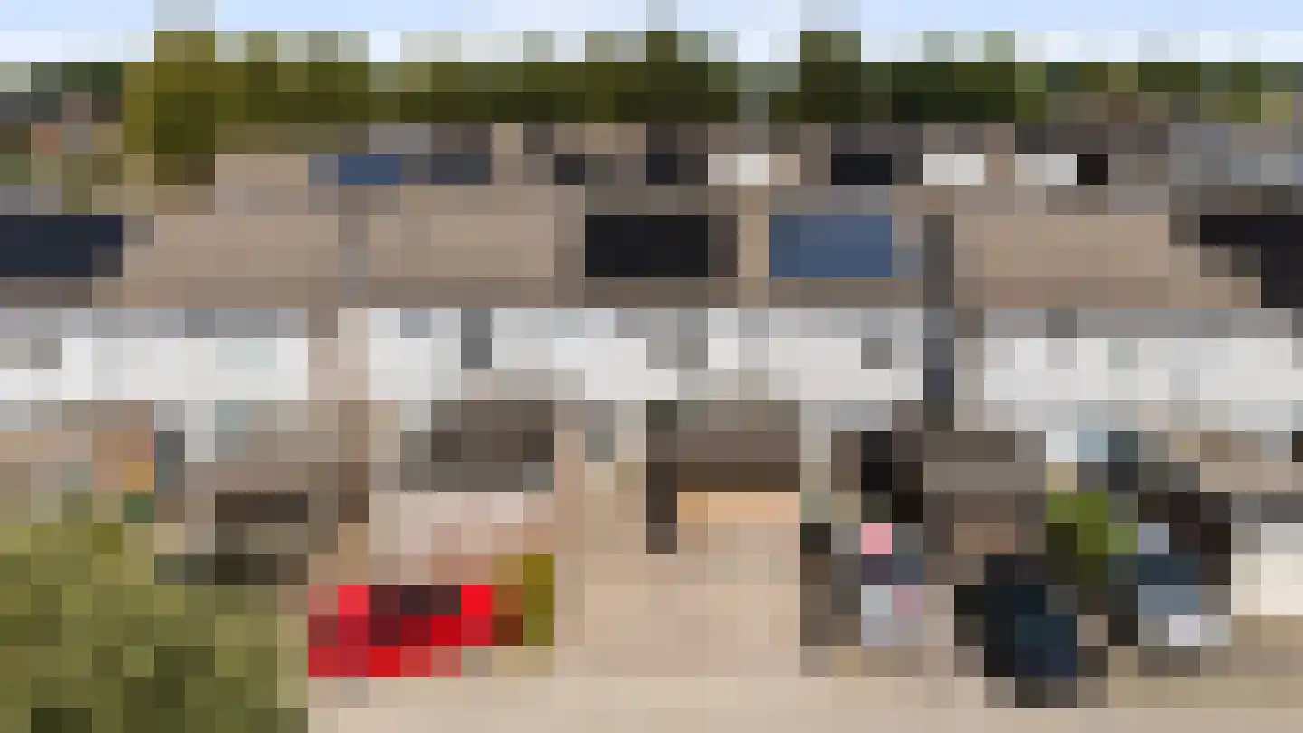 Houtduif 20 Emmen thumbnail 33