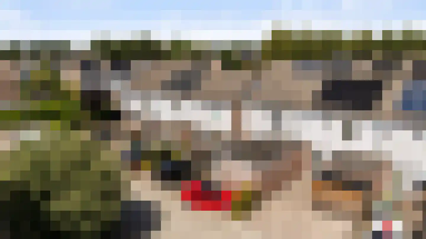 Houtduif 20 Emmen thumbnail 34