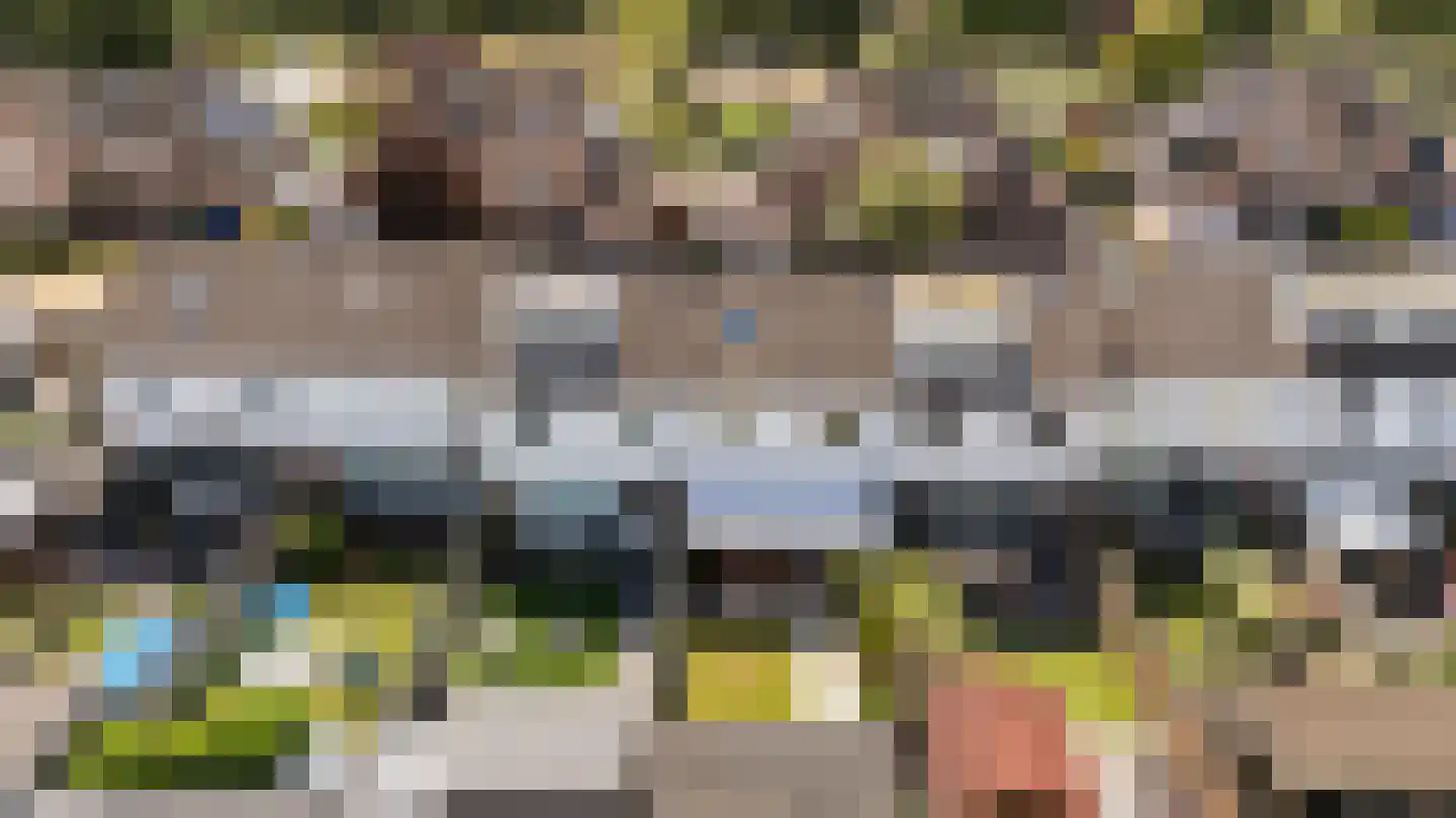 Houtduif 20 Emmen thumbnail 35