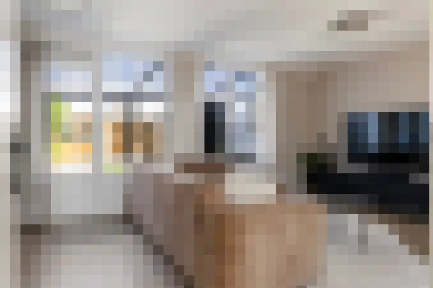 Houtduif 20 Emmen thumbnail 8