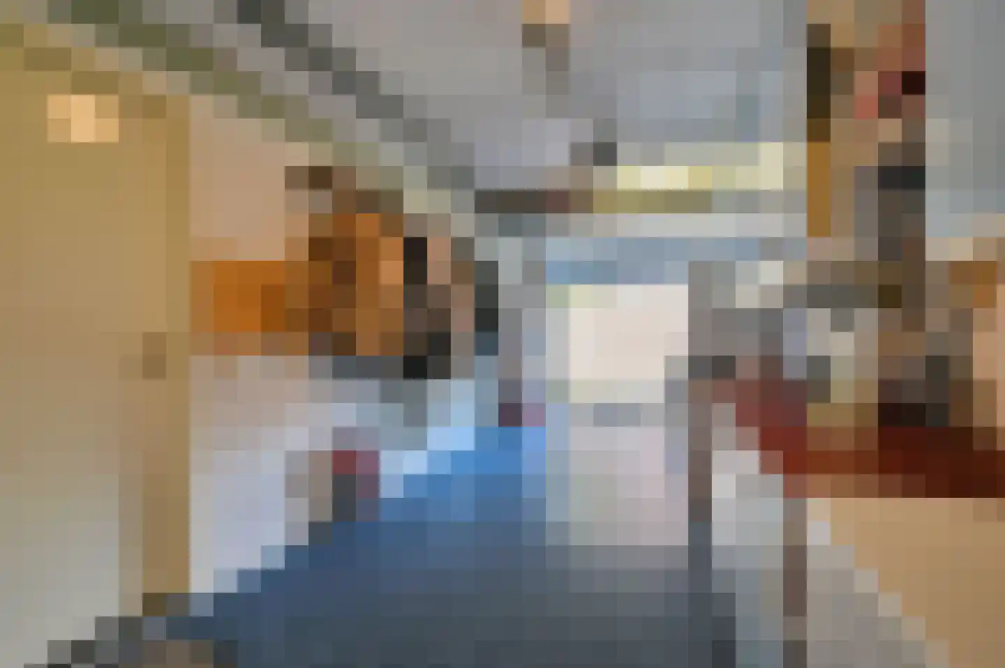 Houtduif 24 Mijdrecht thumbnail 22