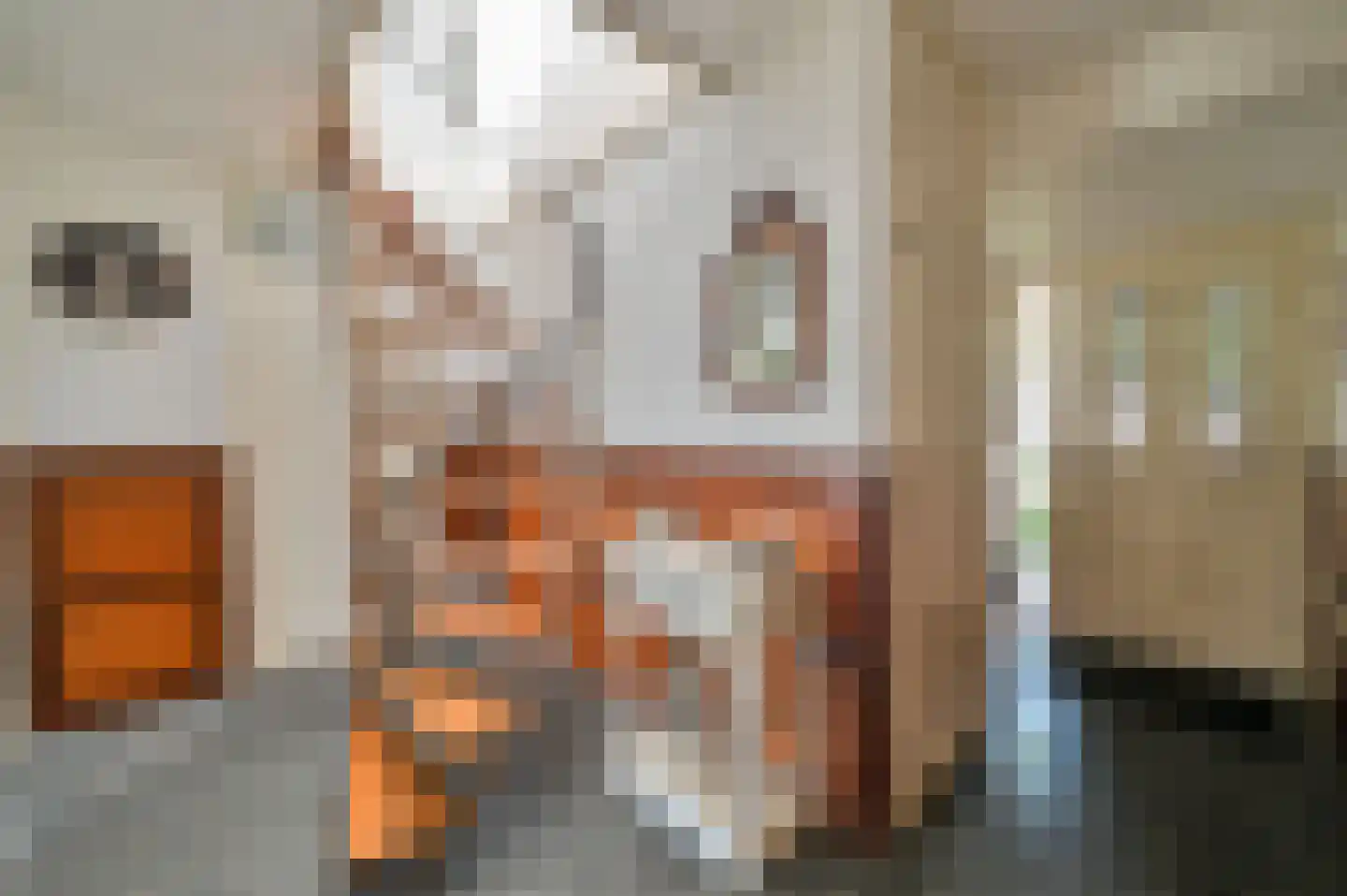 Houtduif 24 Mijdrecht thumbnail 24