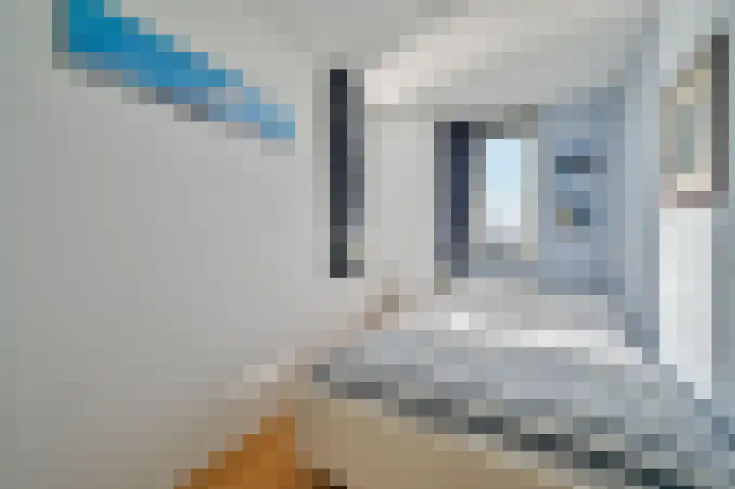 Houtduif 24 Mijdrecht thumbnail 27