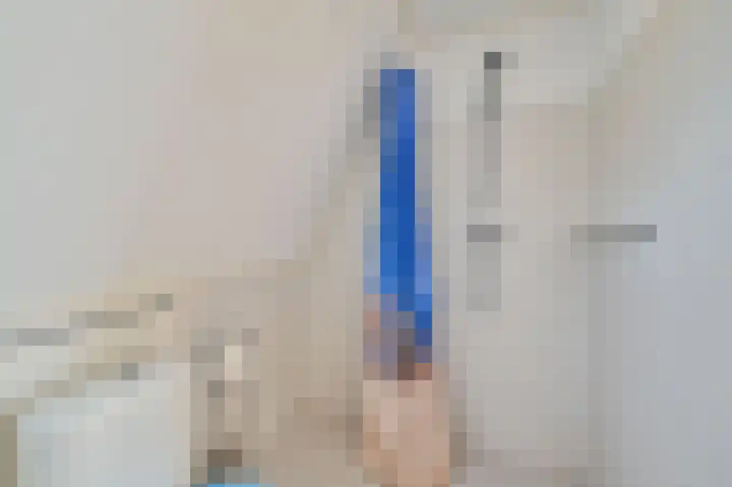 Houtduif 24 Mijdrecht thumbnail 31