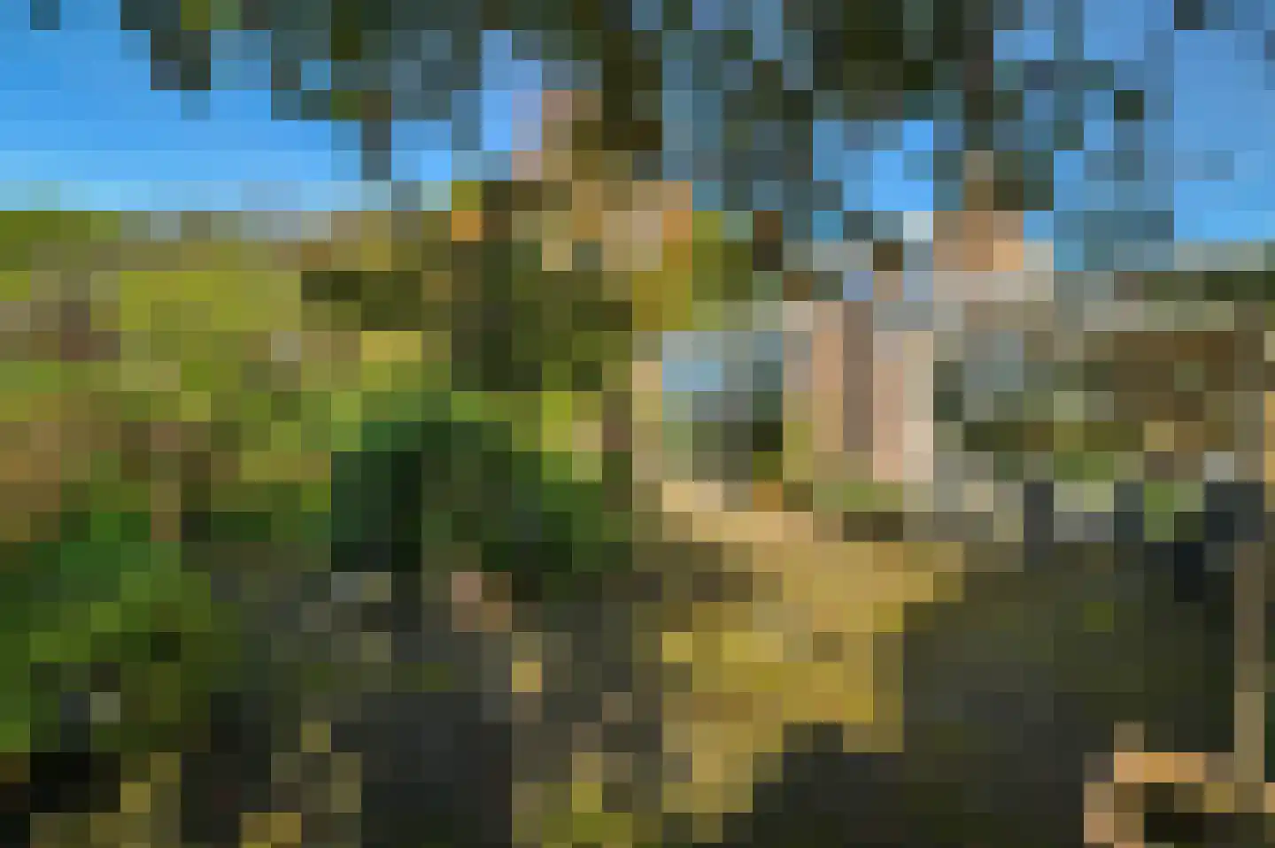 Houtduif 24 Mijdrecht thumbnail 32