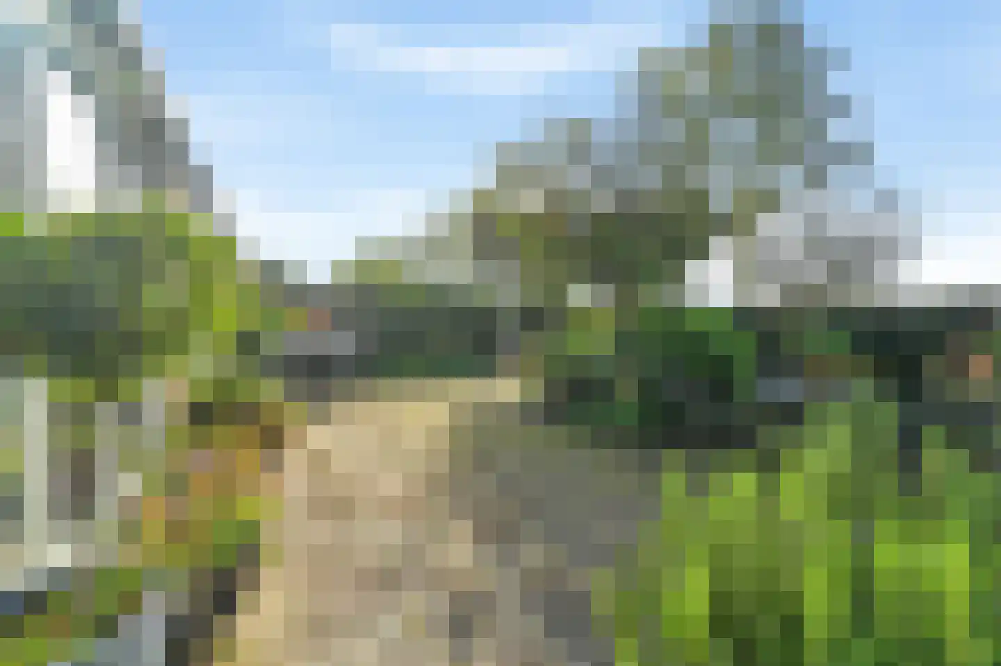 Houtduif 24 Mijdrecht thumbnail 35