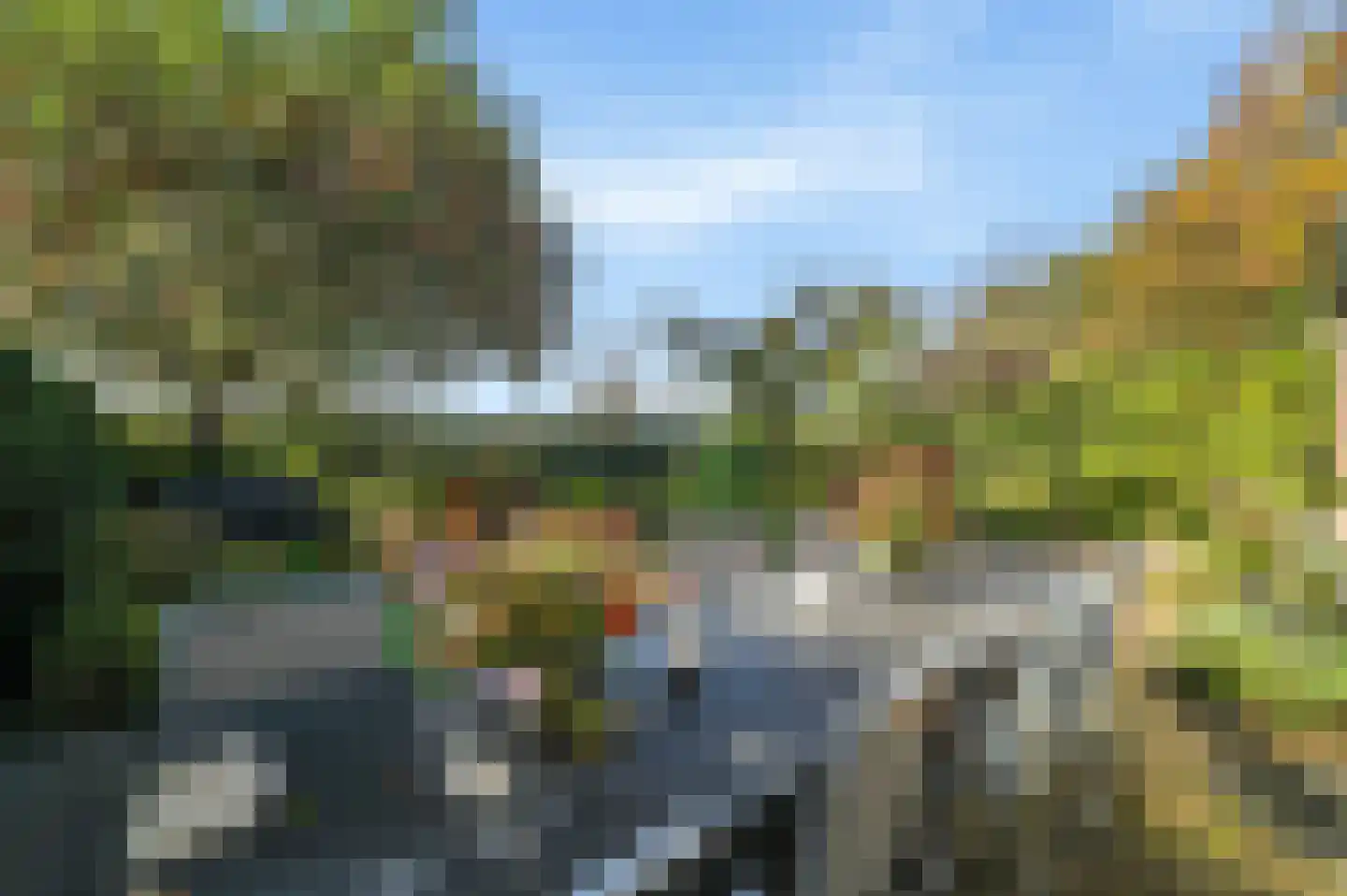 Houtduif 24 Mijdrecht thumbnail 36