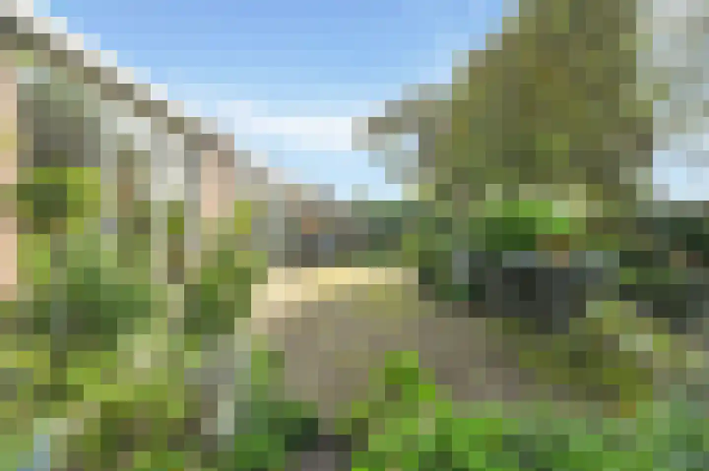 Houtduif 24 Mijdrecht thumbnail 37