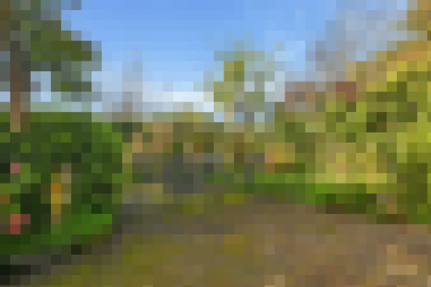 Houtduif 24 Mijdrecht thumbnail 38