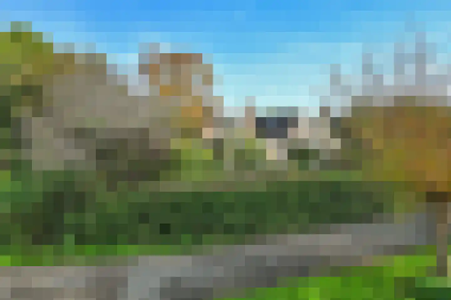 Houtduif 24 Mijdrecht thumbnail 39