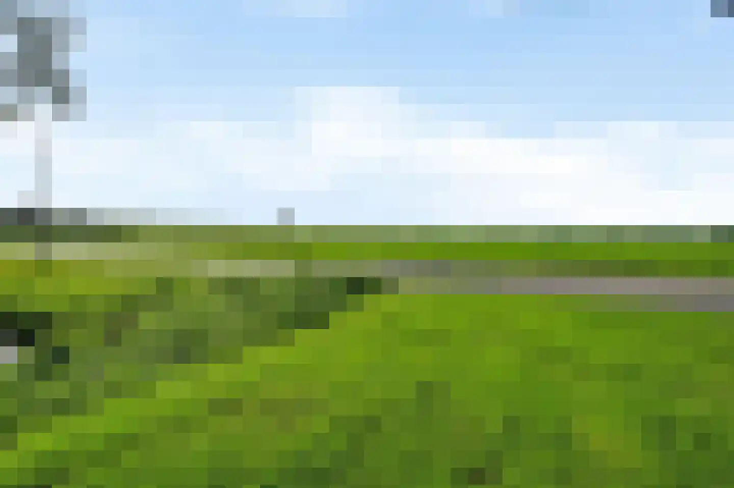 Houtduif 24 Mijdrecht thumbnail 4
