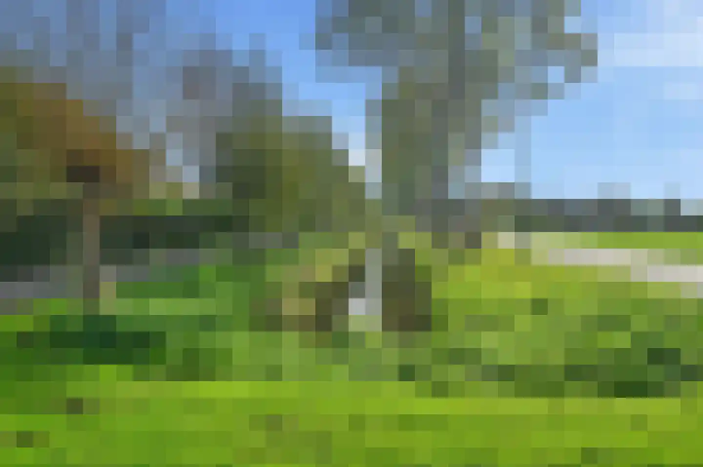 Houtduif 24 Mijdrecht thumbnail 40