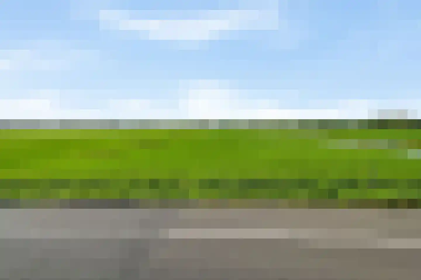 Houtduif 24 Mijdrecht thumbnail 41