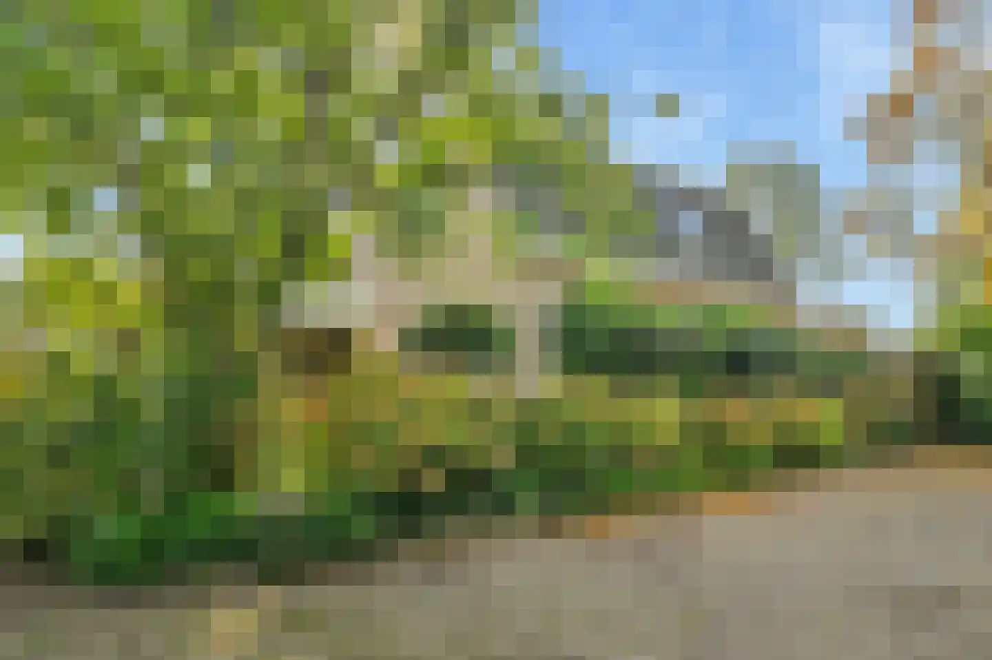 Houtduif 24 Mijdrecht thumbnail 42