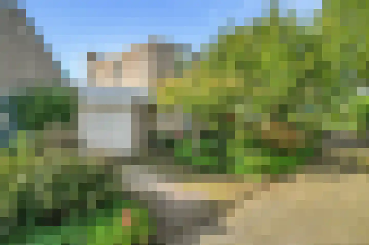Houtduif 24 Mijdrecht thumbnail 43