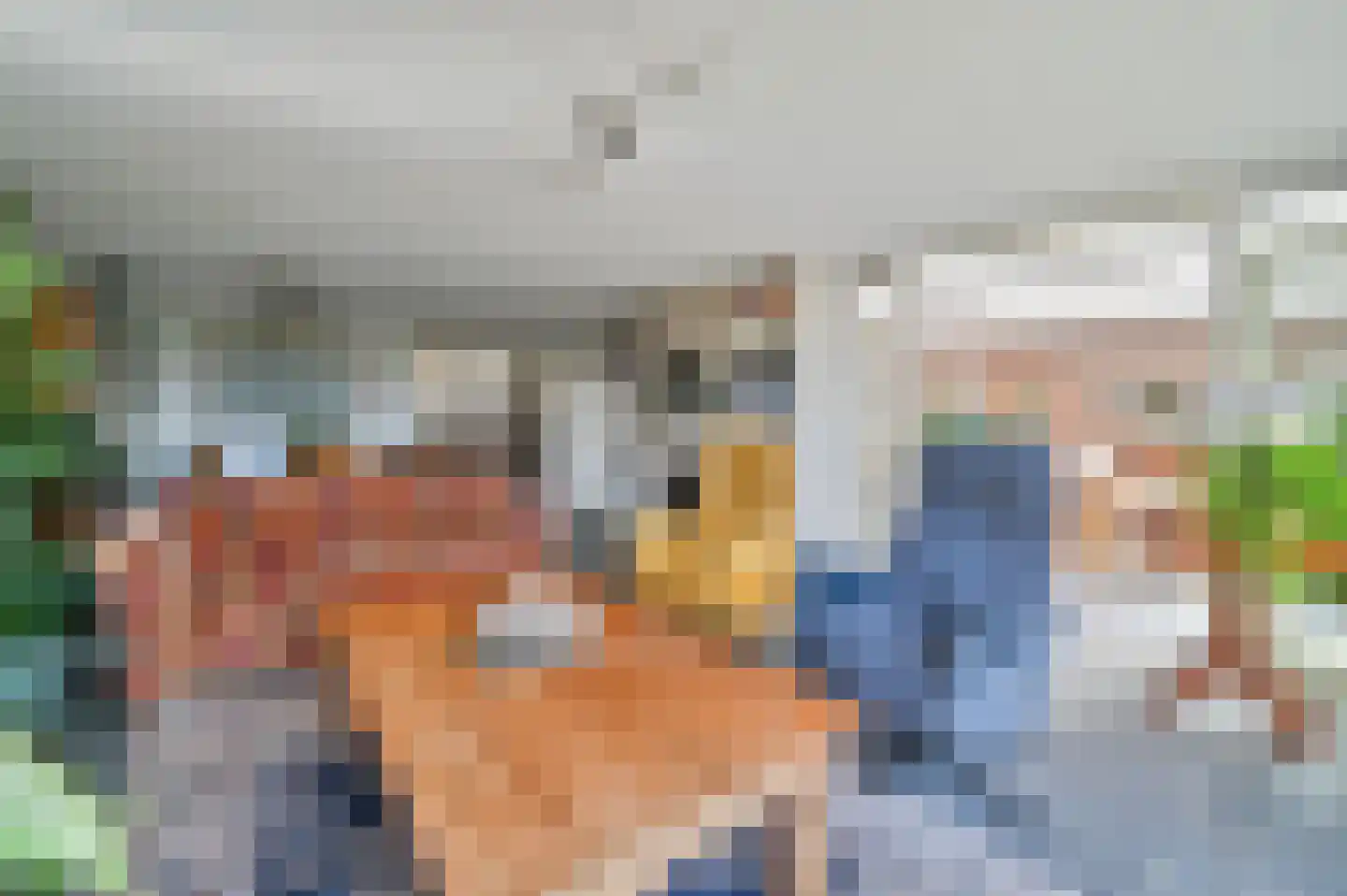 Houtduif 24 Mijdrecht thumbnail 8