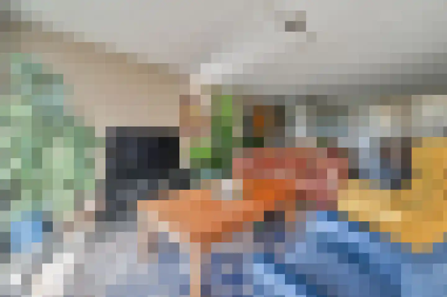 Houtduif 24 Mijdrecht thumbnail 9