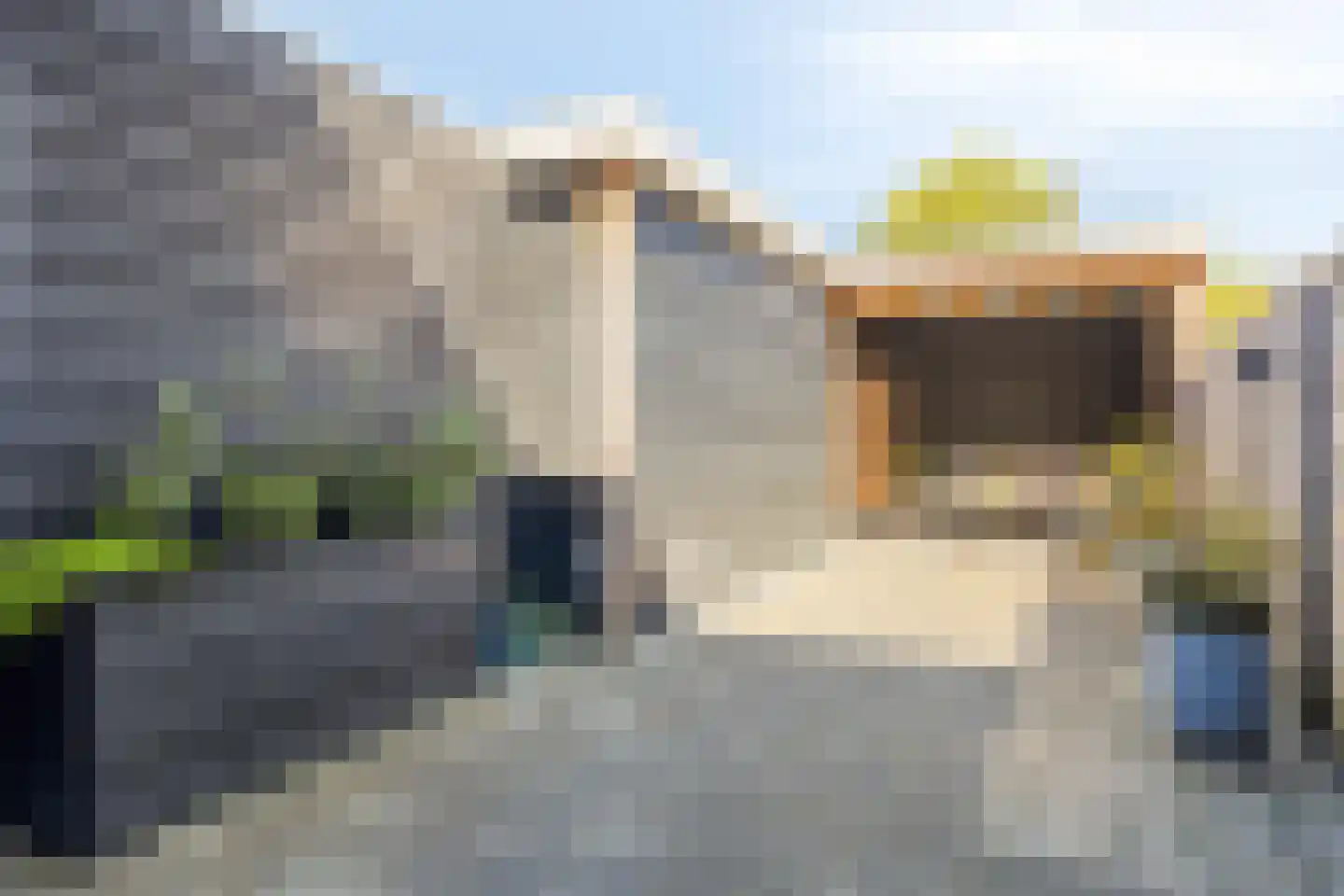 Houtduif 26 Schagen thumbnail 36