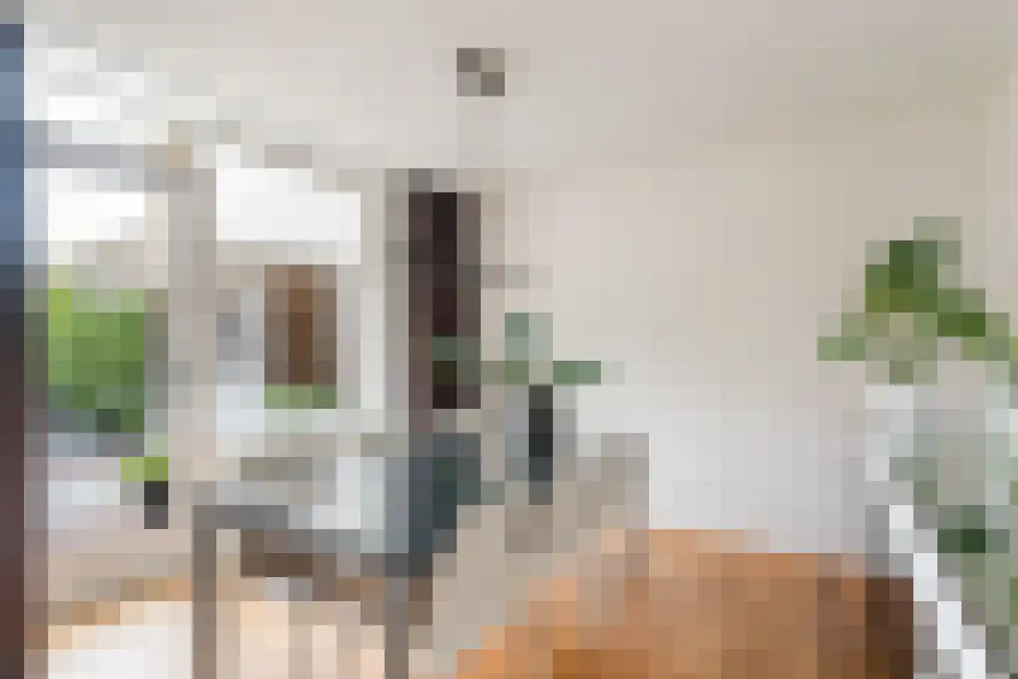 Houtduif 3 Harmelen thumbnail 10