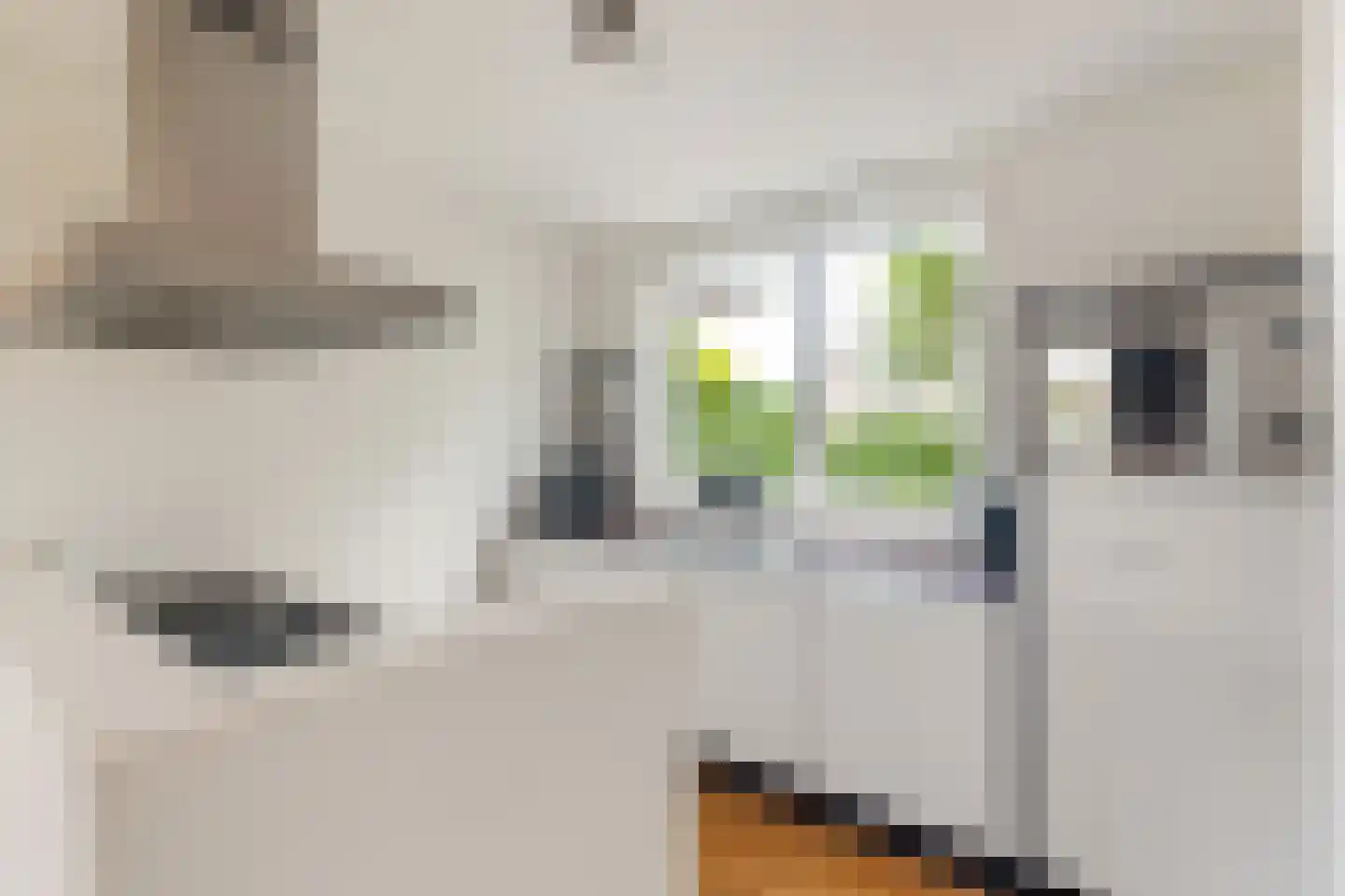 Houtduif 3 Harmelen thumbnail 15