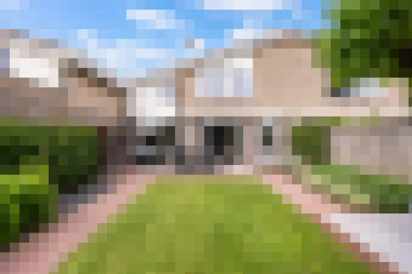 Houtduif 3 Harmelen thumbnail 20