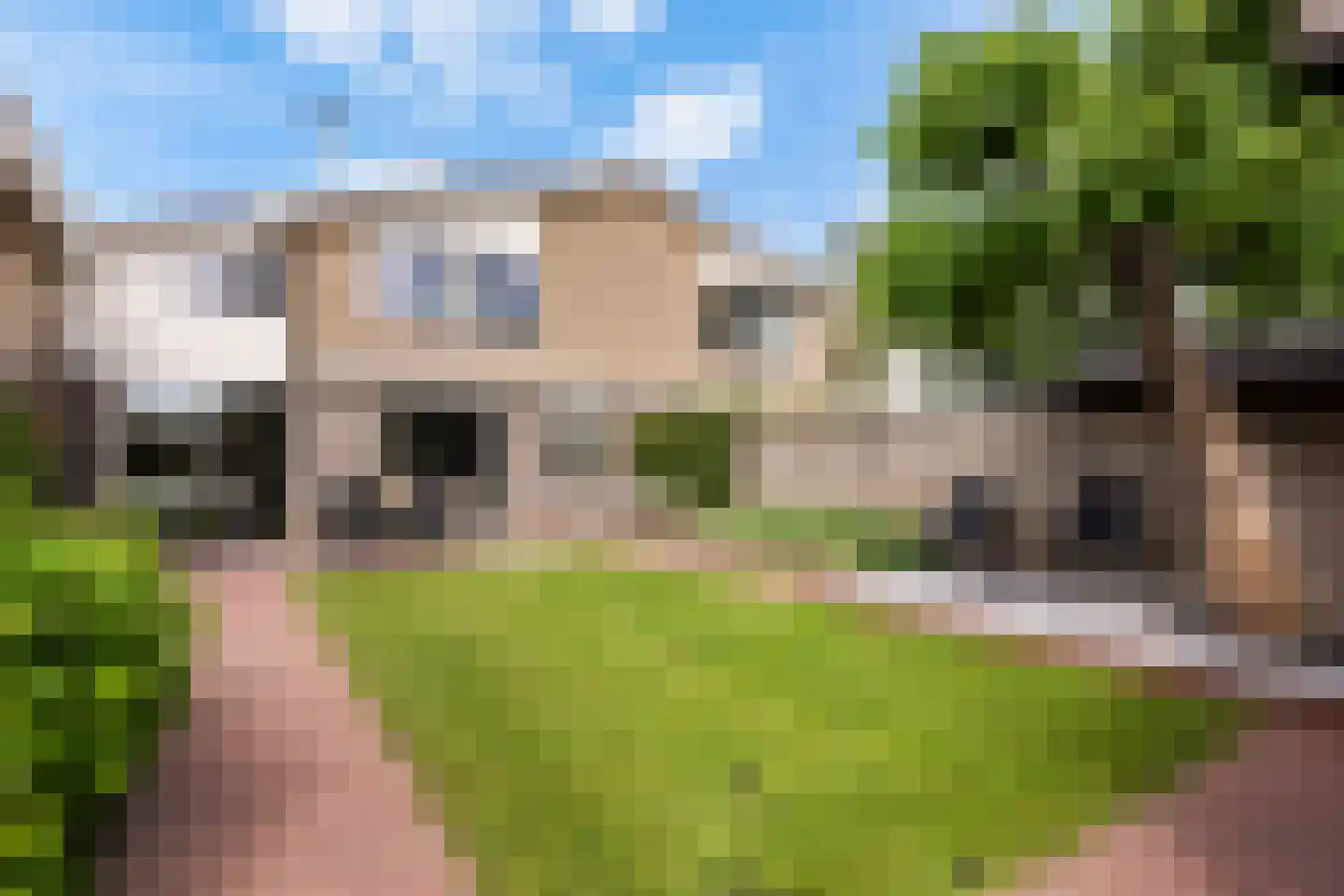 Houtduif 3 Harmelen thumbnail 21