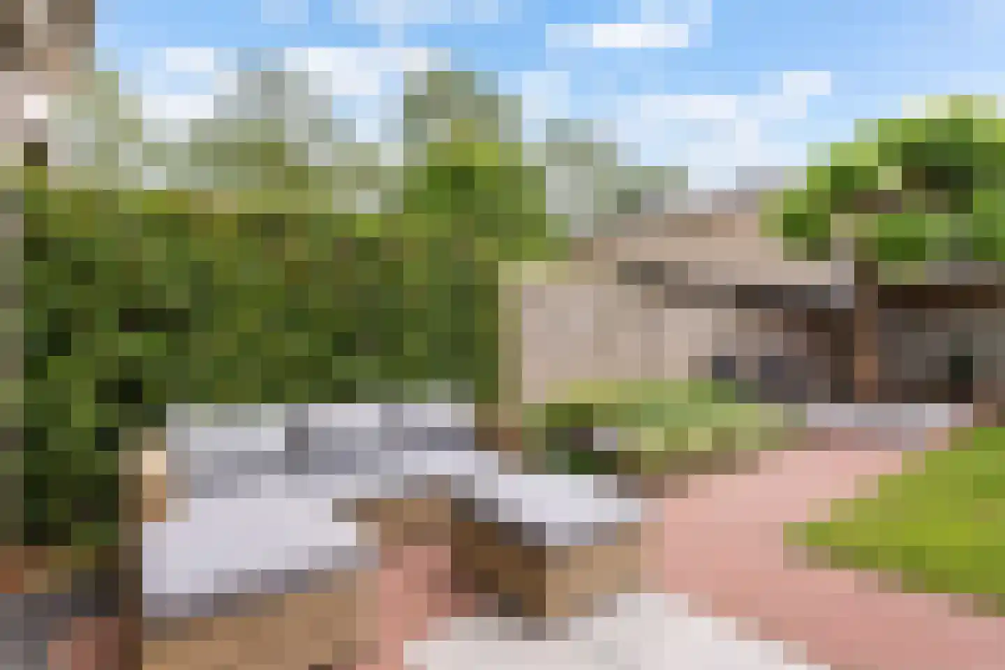 Houtduif 3 Harmelen thumbnail 25