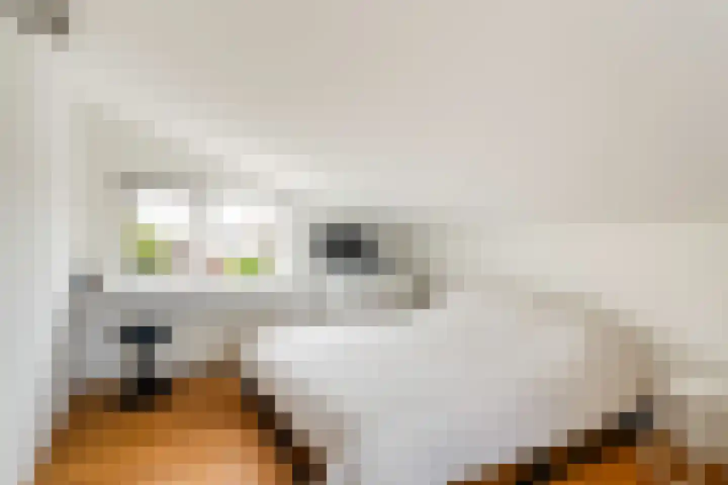 Houtduif 3 Harmelen thumbnail 34