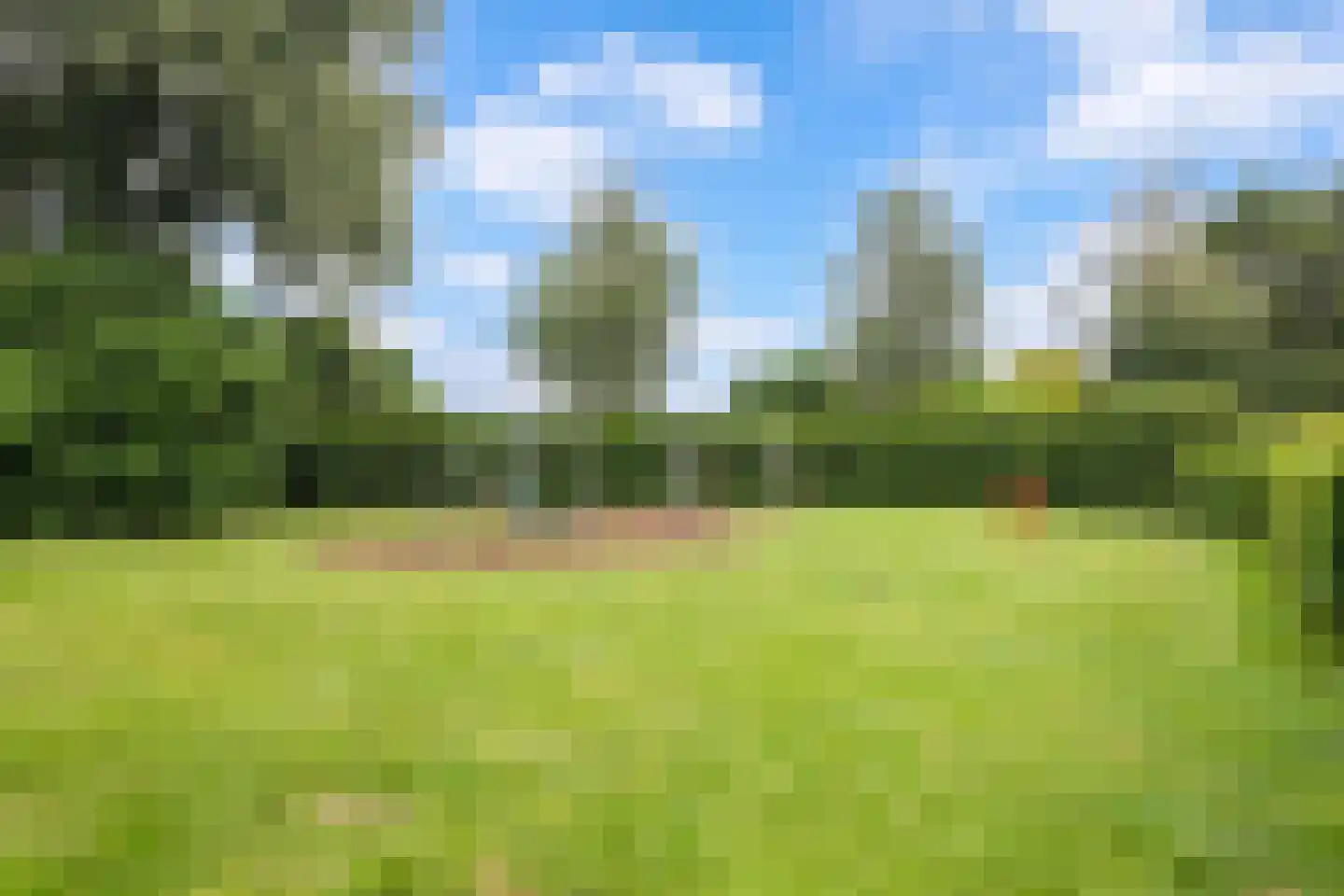 Houtduif 3 Harmelen thumbnail 41