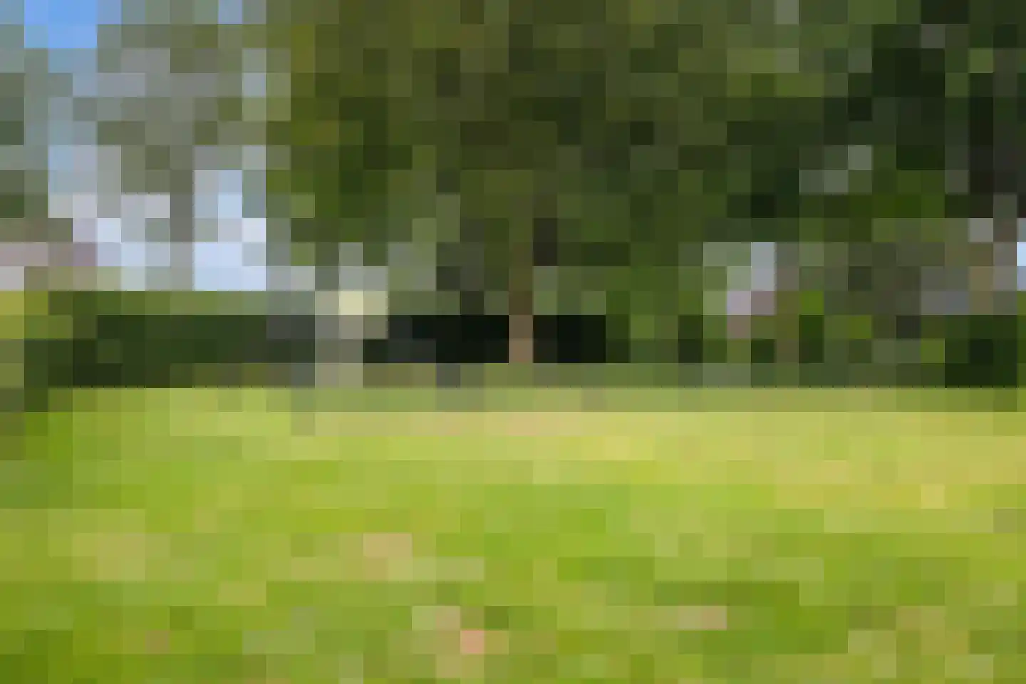 Houtduif 3 Harmelen thumbnail 42