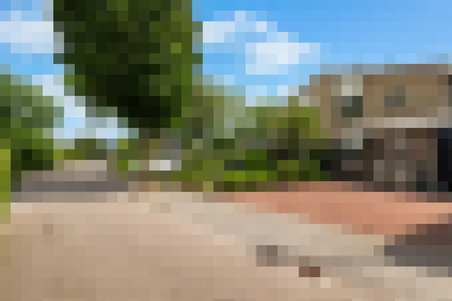 Houtduif 3 Harmelen thumbnail 44