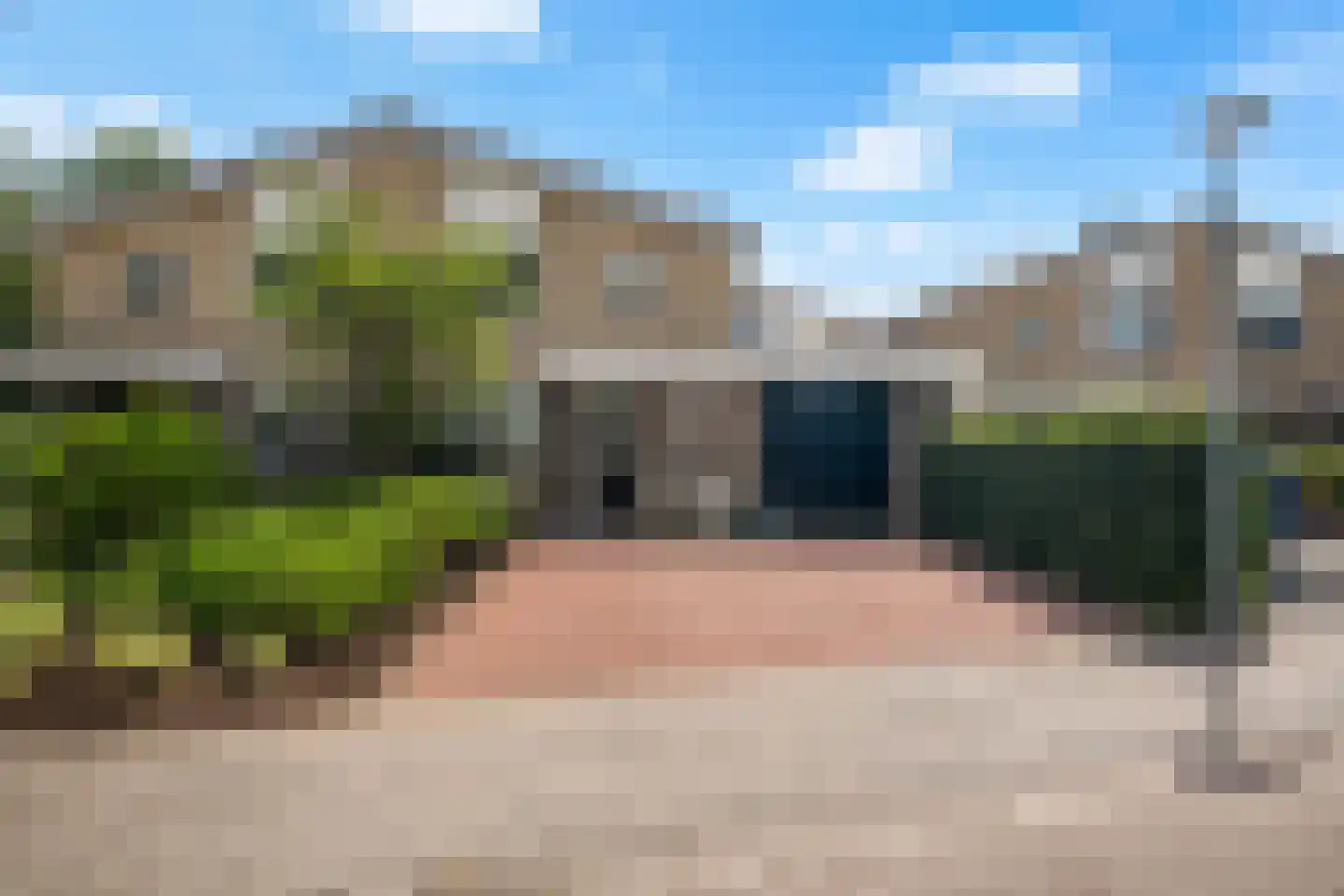 Houtduif 3 Harmelen thumbnail 45