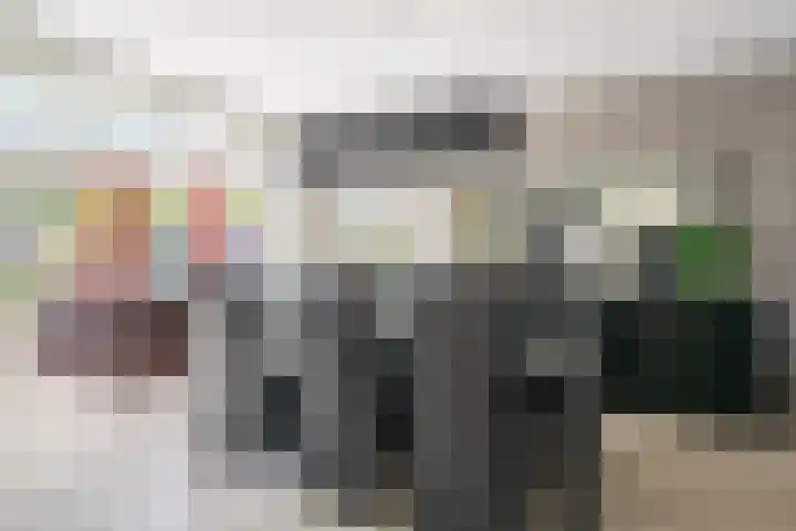 Houtduif 35 Etten-Leur thumbnail 10