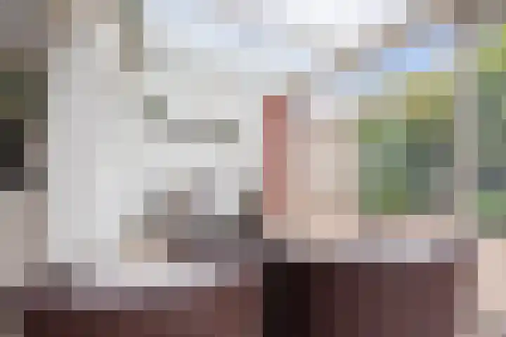Houtduif 35 Etten-Leur thumbnail 12