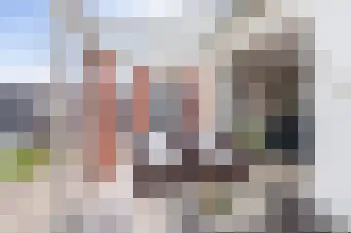 Houtduif 35 Etten-Leur thumbnail 13