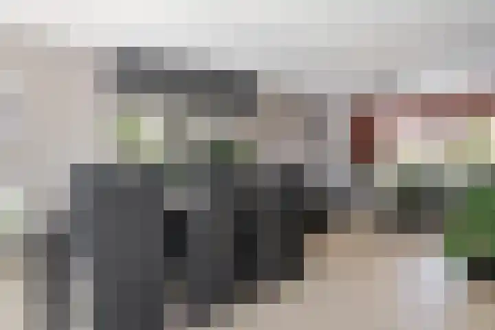 Houtduif 35 Etten-Leur thumbnail 15