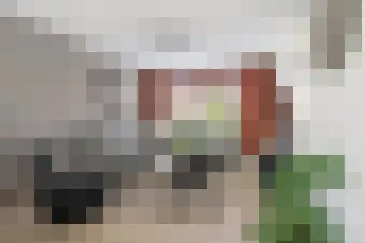 Houtduif 35 Etten-Leur thumbnail 16