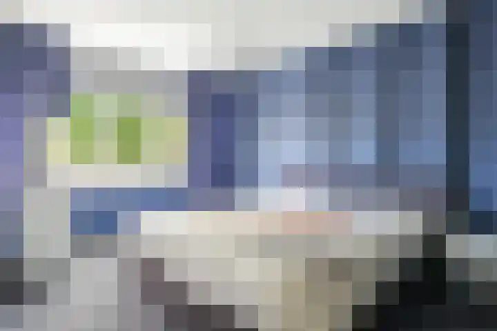 Houtduif 35 Etten-Leur thumbnail 20